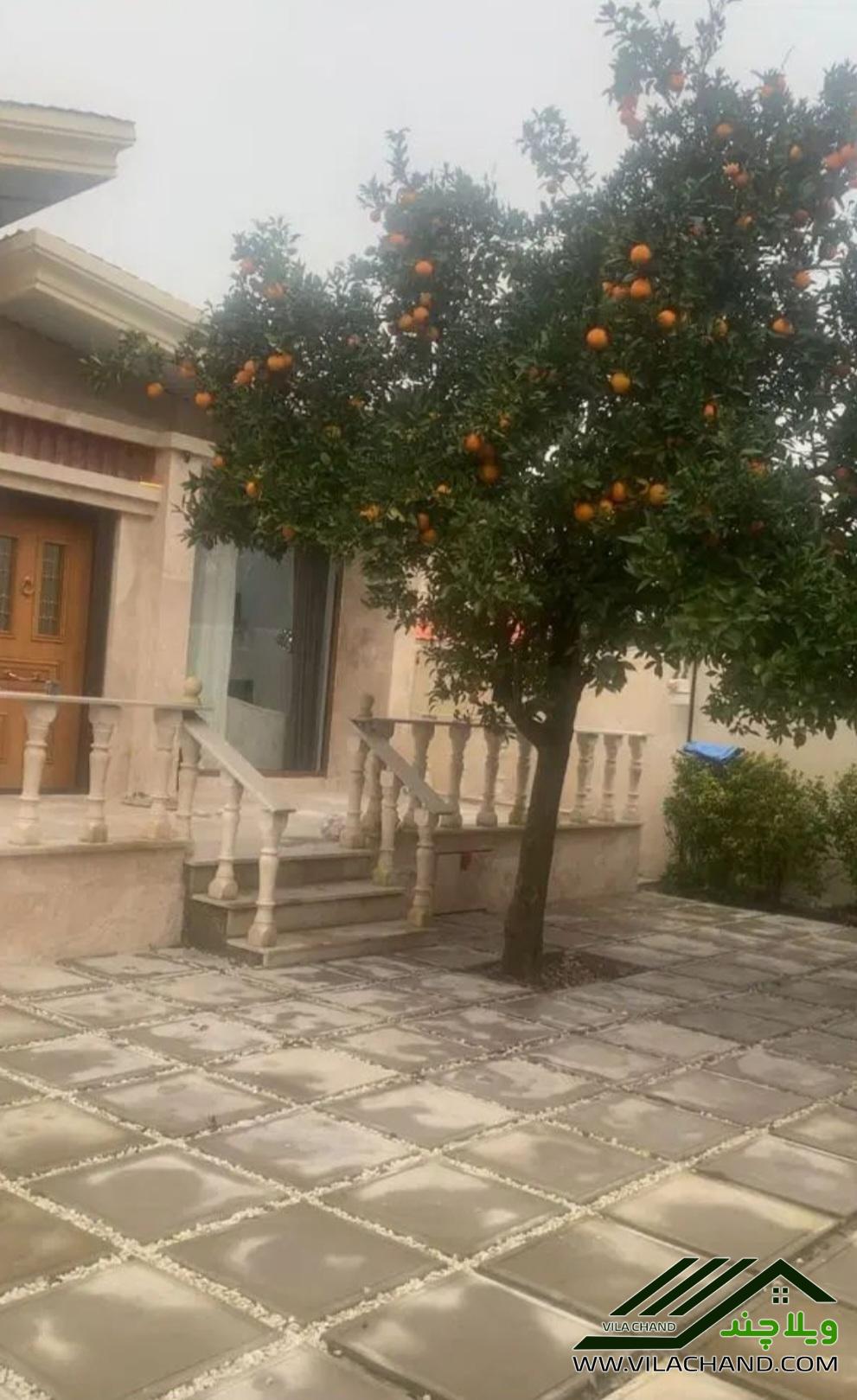 🏡 فروش ویلا جنگلی نوساز در تنکابن (شهسوار)