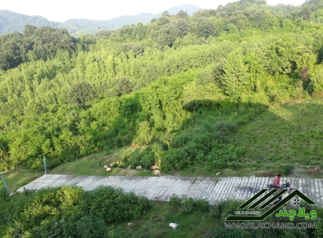 🏡 فروش ویلای لوکس ۵۰۰ متری در لاهیجان