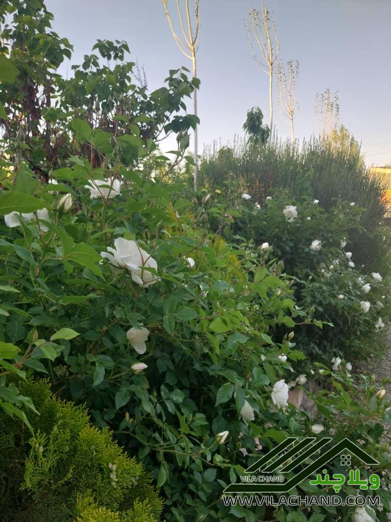 فروش ویلای لوکس کرشت