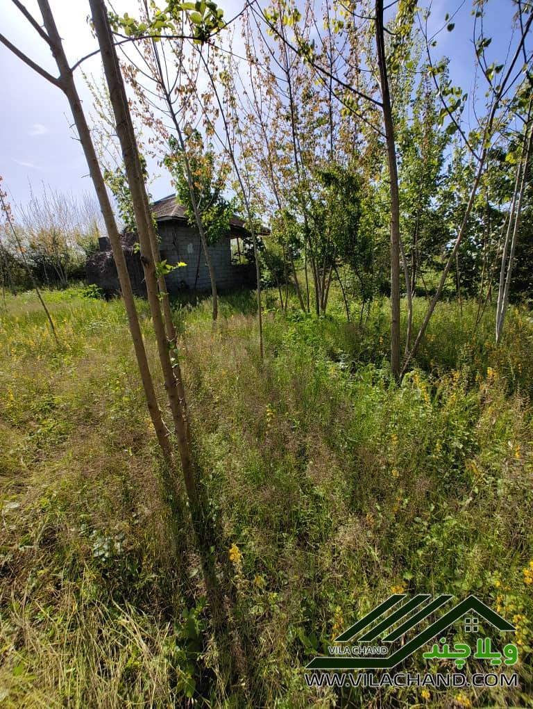 «فرصت کم‌نظیر در قلب خشکبیجار»